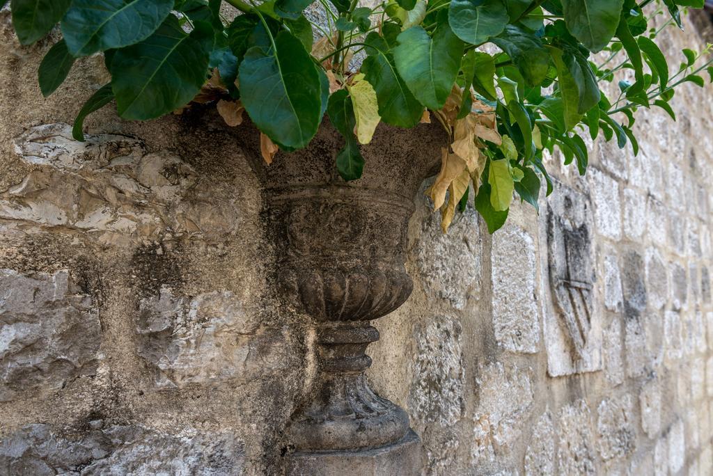 Guest House Forza Lux Kotor Exterior photo